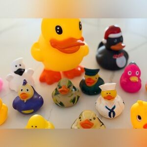 Colorful Rubber Ducks Various Sizes